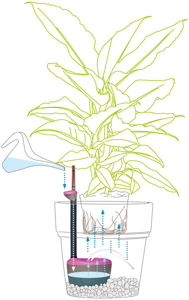 Perle D'acqua Flortis Per Riserva Idrica | Riducono Le Annaffiature Delle Piante