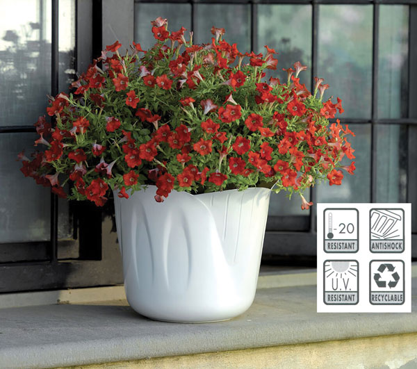 Portavaso mimosa bianco d.30