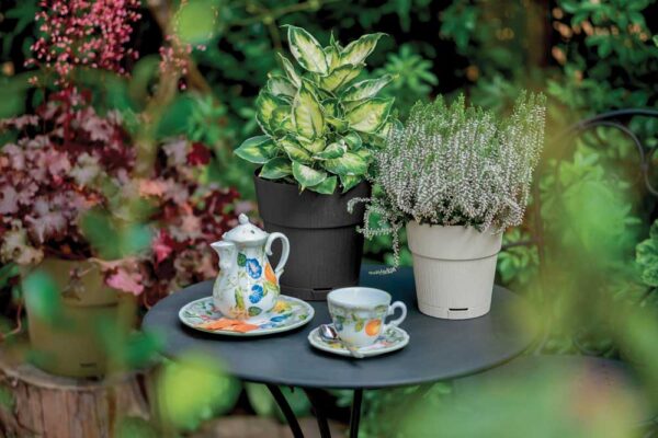 Vaso Ethica - immagine 2