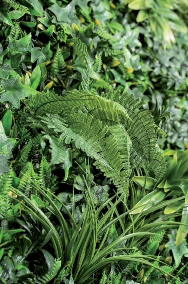Semprevedre Siepe Jungle verde cm 100x100 - immagine 3