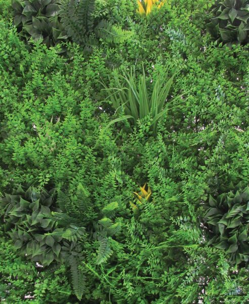 Sempreverde siepe verticale mt.1x1 decorativa da parete