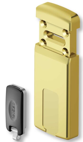 Minimag Piastra Magnetica Doppia Mappa s/ant.15x55 Ottone Giallo