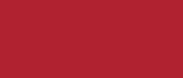 Plastica autoadesiva Bonita cm.45 Red Flame