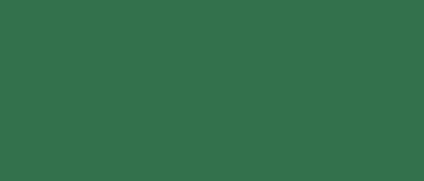 Plastica autoadesiva Bonita cm.45 Golf Green