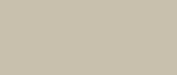 Plastica autoadesiva Bonita cm.45 Liner Beige