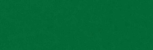 Plastica autoadesiva Bonita cm.45 Velluto Verde