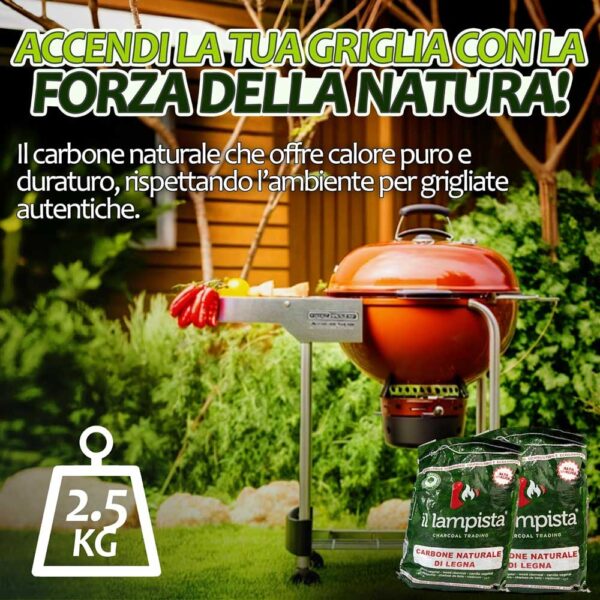 Carbone di legna kg.2,5 c.ca
