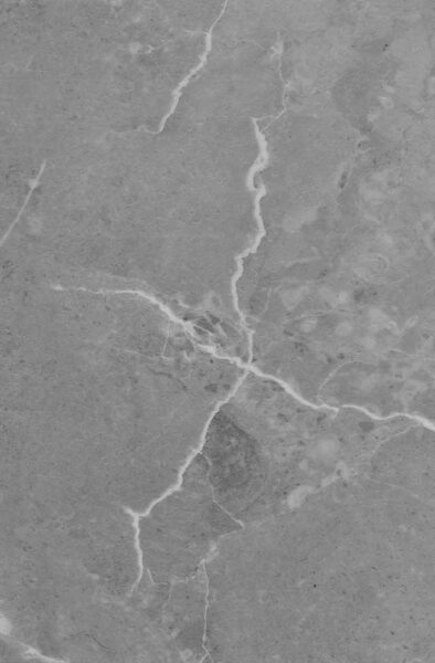 Pavimento SPC 585x310x4+1MM IXPE Marmo Grigio CF.2,1762 MQ