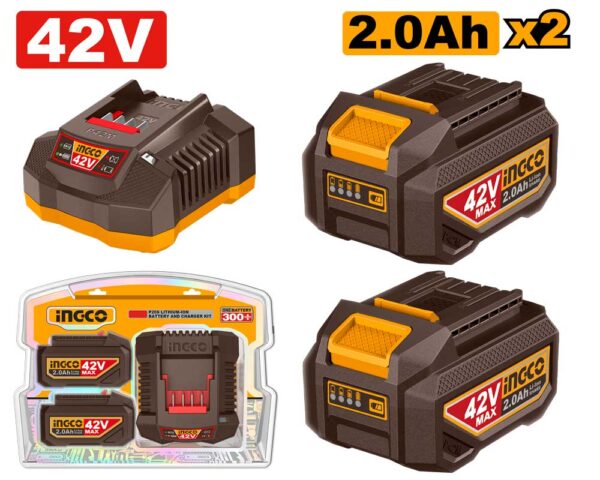 Battery Pack 42V 2 Batterie da 2Ah + Caricabatterie