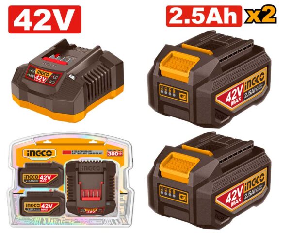 Battery Pack 42V 2 Batterie da 2.5Ah + Caricabatterie
