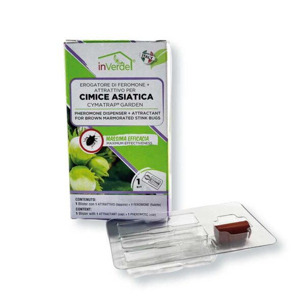 Ricarica Trappola per cimice asiatica erogatore feromoni e attrattivo